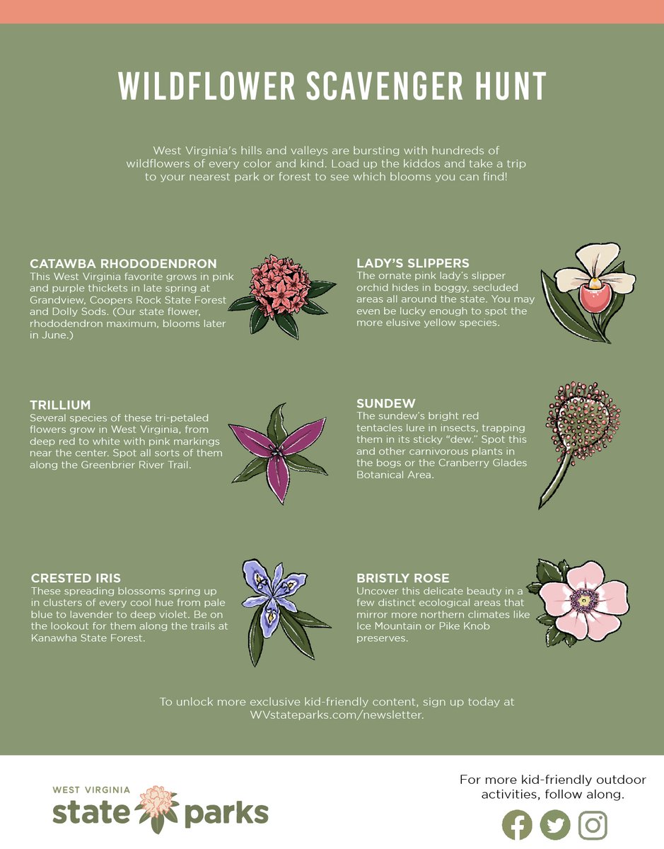 Spring Wildflower Scavenger Hunt — Tennessee State Parks