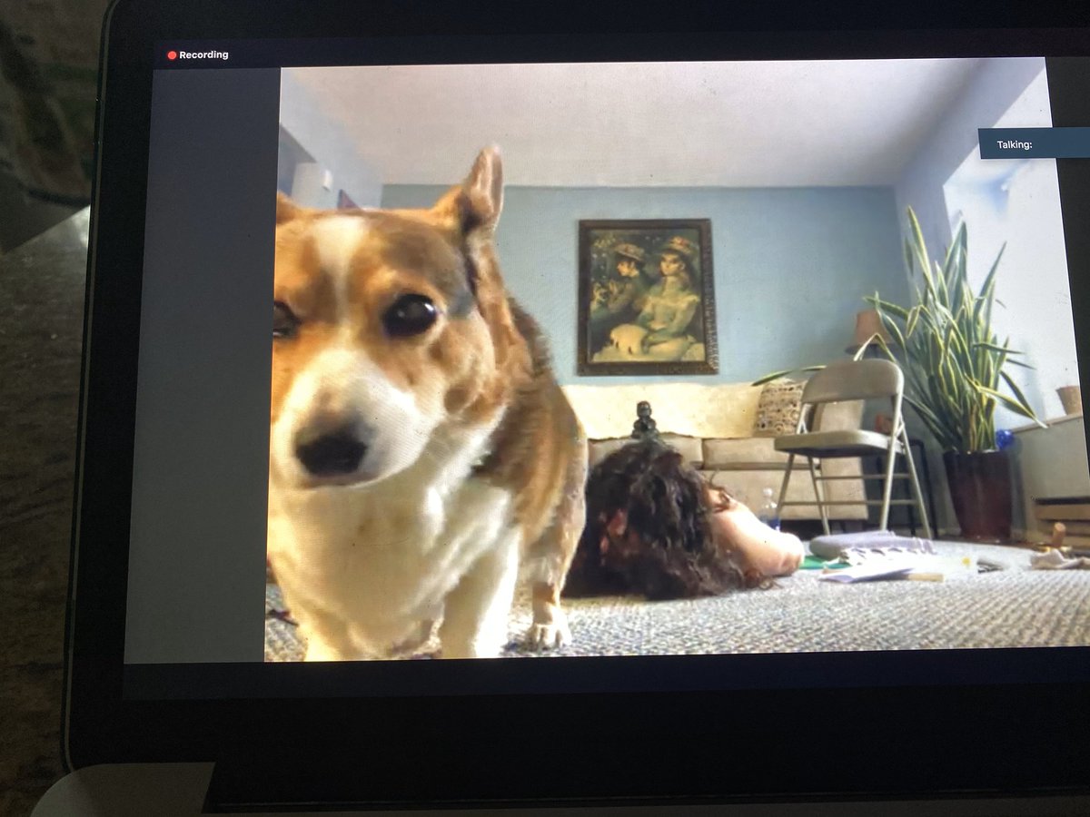This morning’s Gentle class with Stacey was awesome! Mr. Peabody agrees! Be sure to Join us tomorrow! Register though the FitDEGREE ! If you have any questions or concerns text: 856.975.0789. 😊
#pinklotusnj #yoga #yogaforall #mullicahillnj #fitdegree #livestream #zoom #stayhome