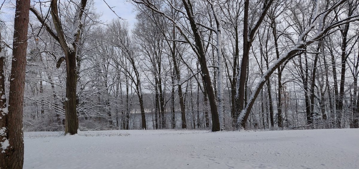 CaroCordovaEc's tweet image. So lovely to wake up and see again snow, a white pure sheet covering my enchanted forest. Plus, one more sample to my collection of Spring water samples 👩🏻‍🔬👀💪#BackyardScience #SoloExperiment #IsotopesRock #physicallyisolated Stay tuned, about this project 💦🌱🔬