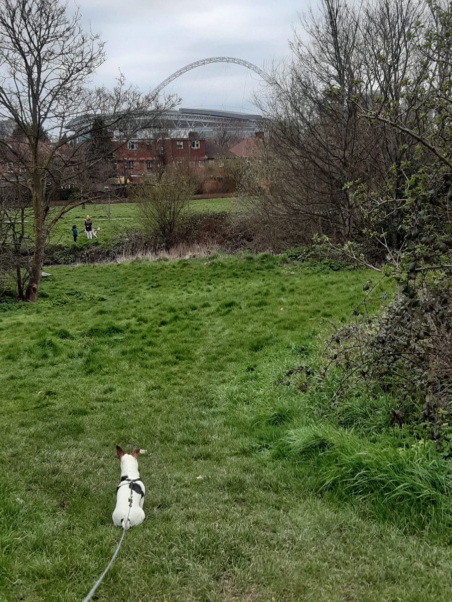 Landscape Institute tweet media