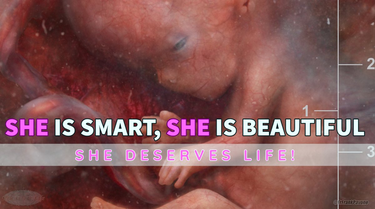 frfrankpavone's tweet image. Nobody is more vulnerable  than the #unborn.

Nothing takes more life than #abortion.

No right is more fundamental than the #righttolife.

Get involved! StopAbortionNow.org
