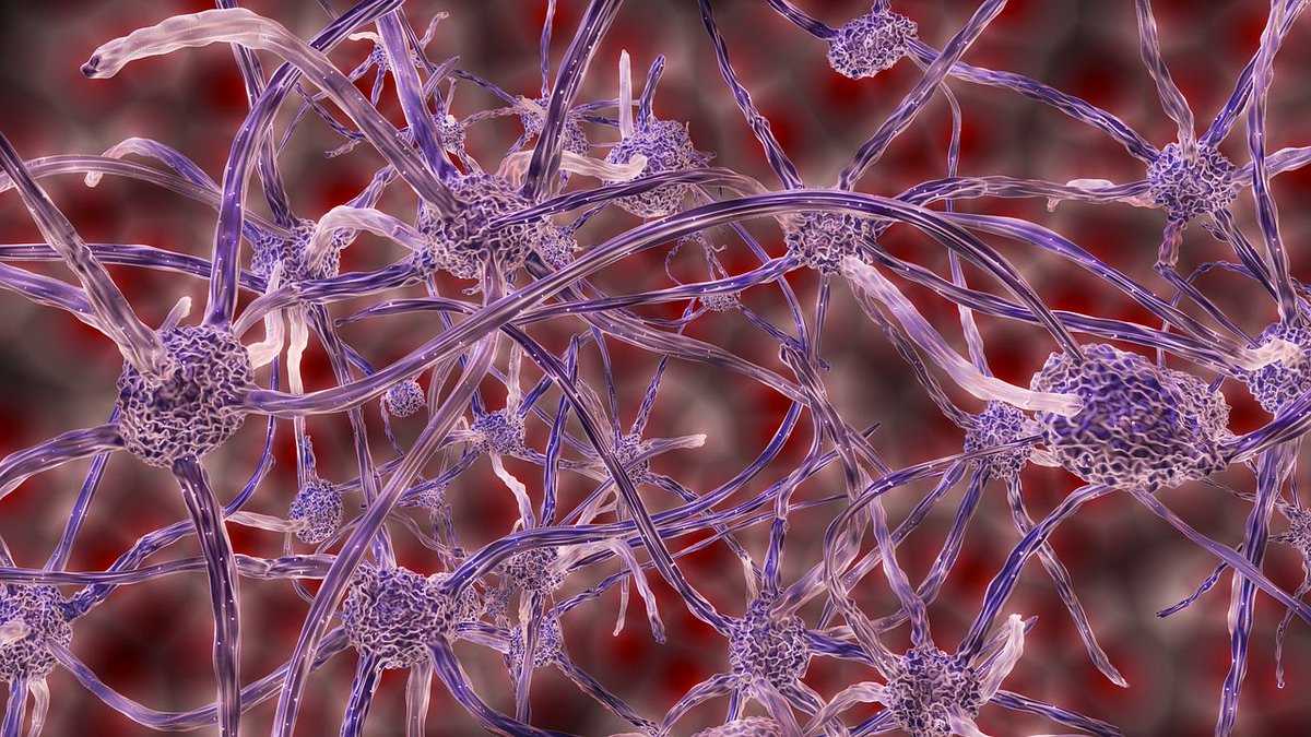 startuptickerCH's tweet photo. Polyneuron submits clinical trial application for its lead product and appoints Debra Barker, M.D. as Chief Medical Officer https://t.co/jTTCK1tVwi | The Swiss Startup News channel https://t.co/OpyxkCm61J https://t.co/5PyyEQUKjc
