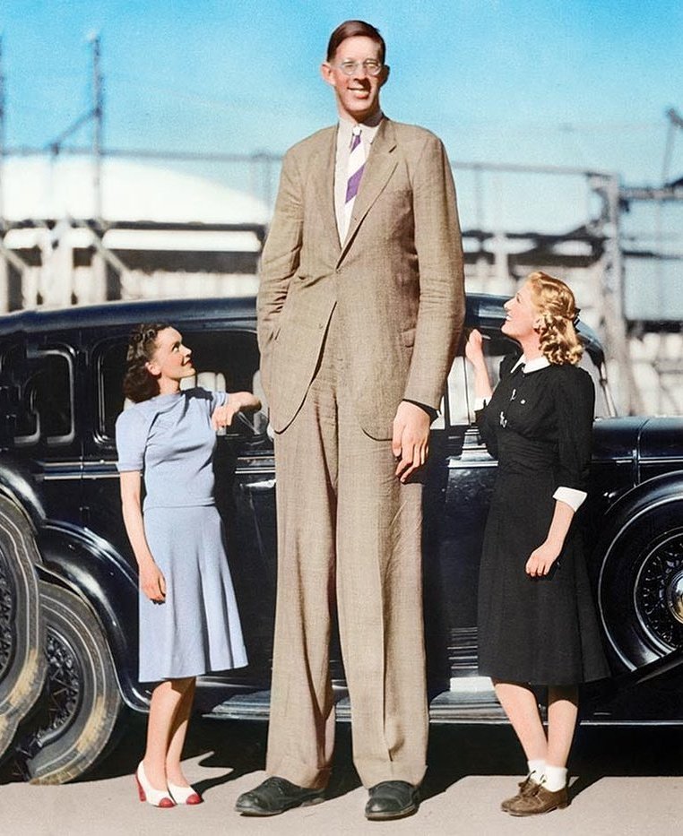tuCpakoa's tweet photo. Robert P. Wadlow est l'homme le plus grand de l'Histoire dont la taille fut attestée !
À 6 mois il mesurait 88 cm
À 18 mois : 1,30 m
À 5 ans : 1,64 m, soit la taille d'un homme de 17 ans.
Il a atteint 2,72 m et chaussait du 71.
Il est mort à 22 ans (son cercueil mesurait 3,28 m). https://t.co/exFqTxSJG3