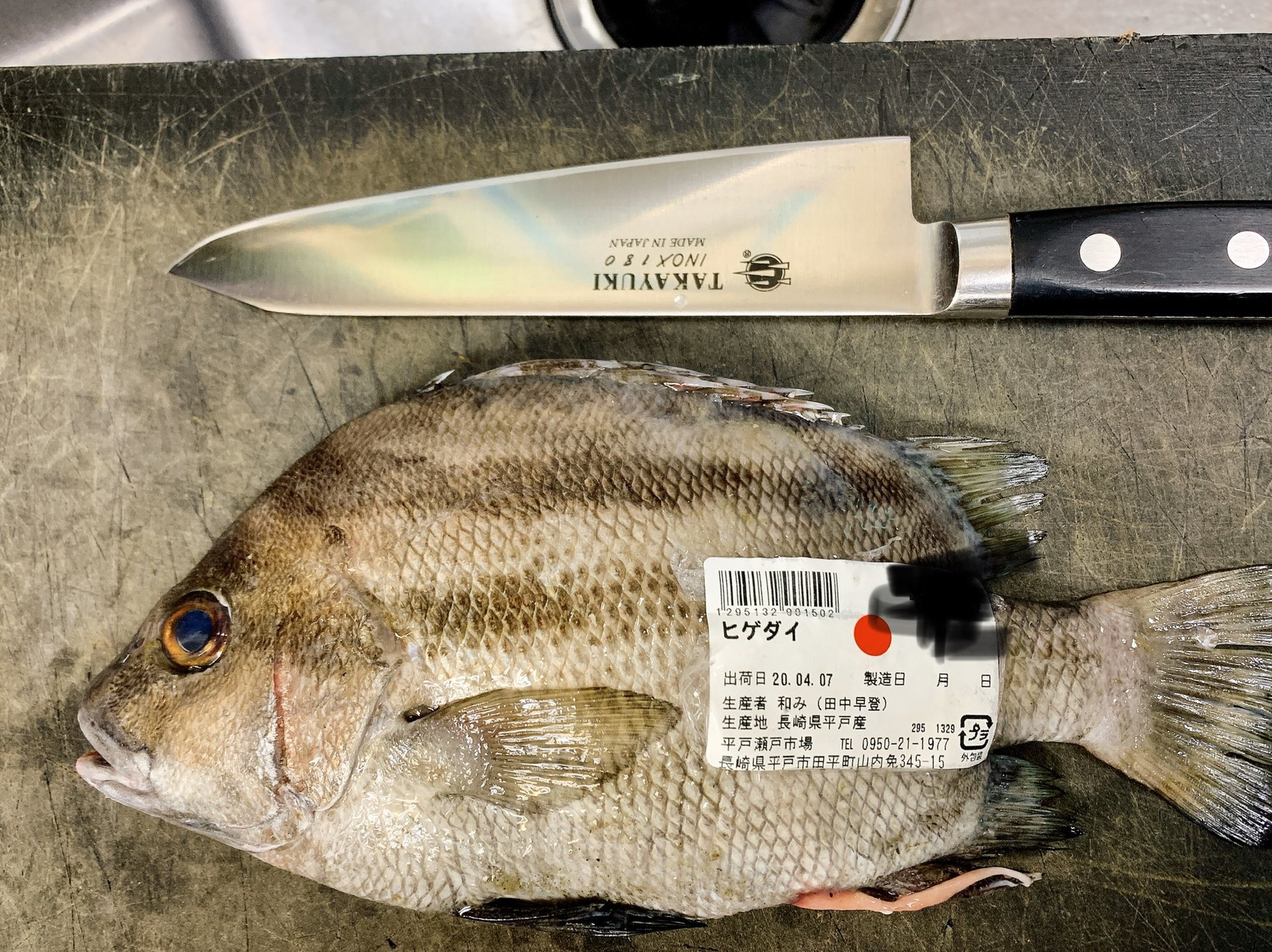 百武 勉 A Twitteren 本日の仕立て 小さなシマセトダイ ヒゲダイとして売ってたw 大きな魚仕入れたい 大きな魚仕立てたい 津本式 究極の血抜き