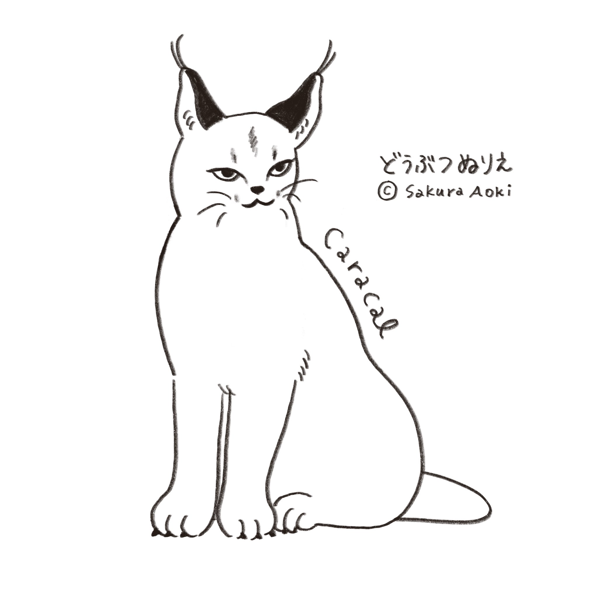 あおきさくら در توییتر おうちで楽しめるどうぶつぬりえです 印刷して好きな色でぬってね その1 おうち時間 Stayhome ぬりえ 塗り絵 Sakurazoo