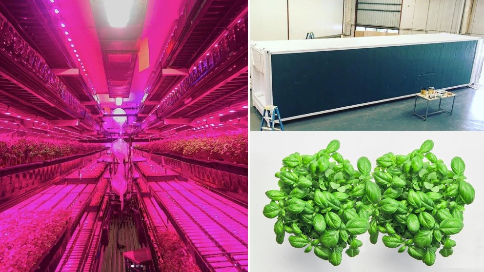 The future of farming is officially here. Thanks to <a href="/10Daily/">10 daily</a> for this great write up about how we're helping to revolutionise Australian agriculture: bit.ly/3ay4qHr

#agtech #urbanfarming #verticalfarming #sproutstack