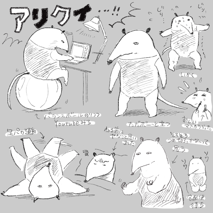 そしてアリクイのこと最近気になってます…ぬいぐるみ欲しい… 