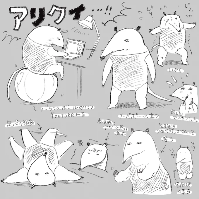 そしてアリクイのこと最近気になってます…ぬいぐるみ欲しい… 