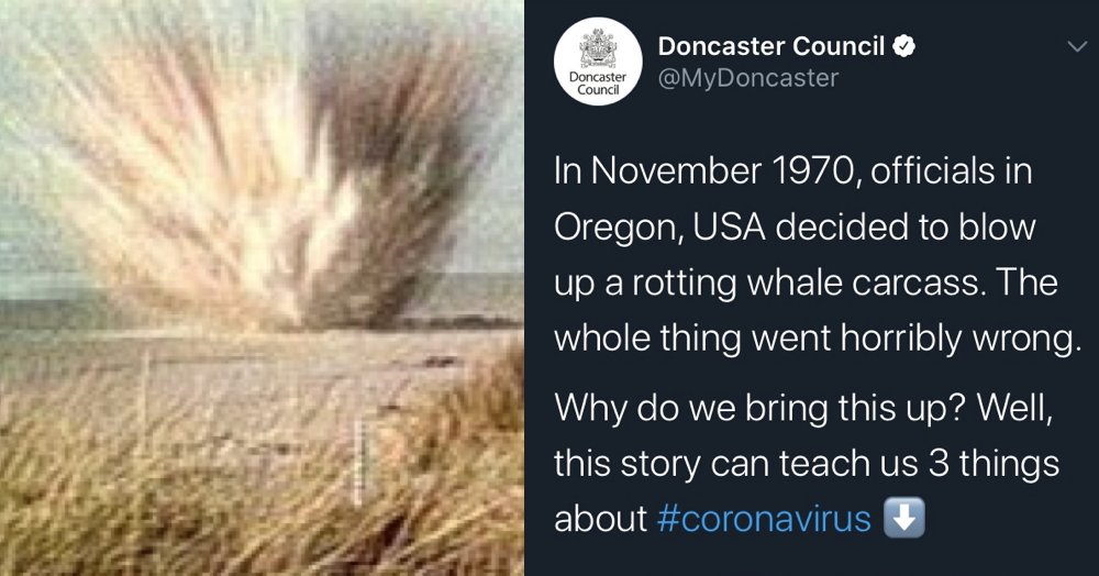 The Poke tweet media