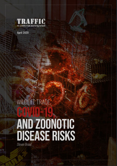 TRAFFIC_WLTrade's tweet photo. Wildlife trade, COVID-19 and zoonotic disease risks: shaping the response. Essential briefing paper from TRAFFIC https://t.co/bvFiDQKe0I https://t.co/tYfPY5K3vb