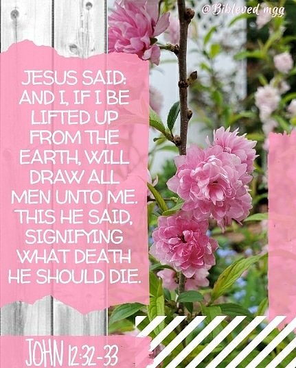 Bibleved7's tweet photo. John 12:32-33~ Jesus said:
"And I, if I be lifted up from the earth, will draw all men unto Me. This He said, signifying what death He should die."
#bible #bibleverse #God #Jesus #Christ #photography #nature #easter #crucifixion #cross #gospel #Savior #inChristalone #myonlyhope https://t.co/f9ffhXGqvb