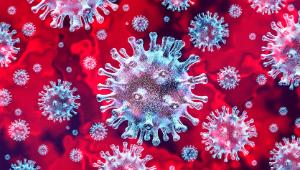 COVID-19 and ASPERGILLUS: Invasive pulmonary aspergillosis is a known complication of severe influenza, and discussions are emerging now on potential co-infection with COVID-19. <a href="/MRCcmm/">MRC Centre for Medical Mycology</a> is summarizing the current knowledge at exeter.ac.uk/medicalmycolog… #covidANDaspergillosis