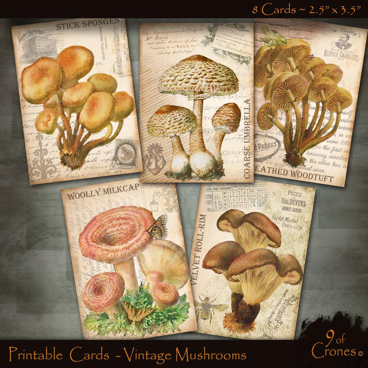 9ofCrones's tweet photo. Vintage Mushroom Pocket Cards. 8 Digital 2.5 x 3.5 Inch cards for journals, scrapbooking, mix media, collages. https://t.co/IFUmZYtINy via @Etsy https://t.co/gDb7EXN9Yo