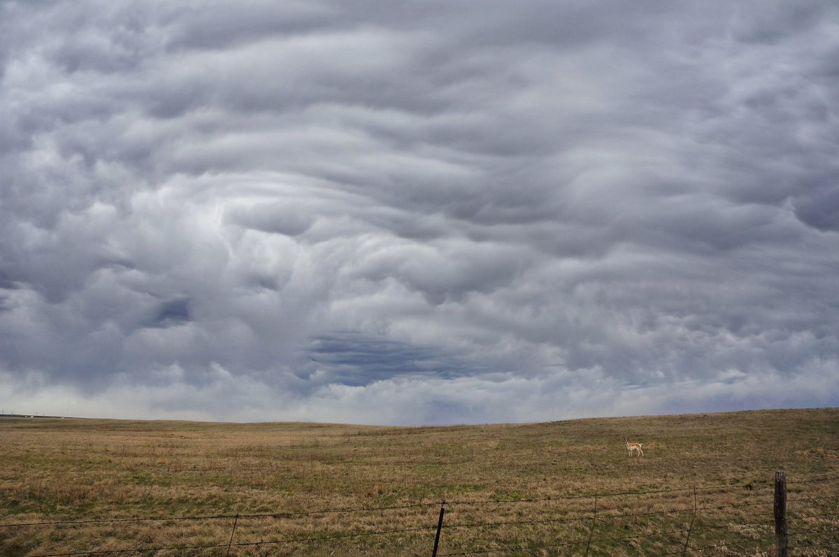 What am I doing here still