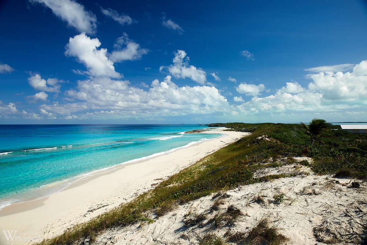 wittlitweets's tweet photo. Beach, Stocking Island, Great Exuma, The Bahamas [15.11.2016]

#beach #stockingisland #greatexuma #bahamas #thebahamas #caribbean #offthebeatenpath #roadslesstravelled #neverstoptoexplore #wittlig #neverstopexploring https://t.co/u4pOpJWkBq