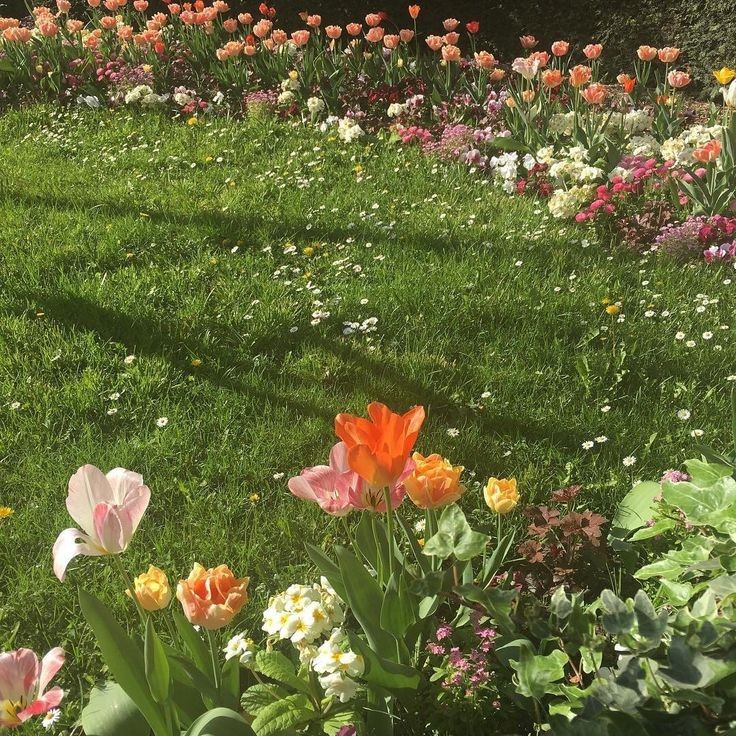 zunyiqa's tweet photo. the fairies hid in every flower until it was their time to work again https://t.co/f4FfNN1Gij