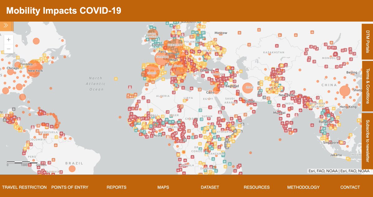 DTM_IOM's tweet photo. #WorldHealthDay is 7 April. To better understand how #COVID19 affects global mobility, @DTM_IOM is mapping the impacts. Data includes travel disruptions, restrictions and blockages to human mobility, at the global, regional and country-level https://t.co/2lkfZMYnfB @UNmigration https://t.co/AA8IfS0N4d