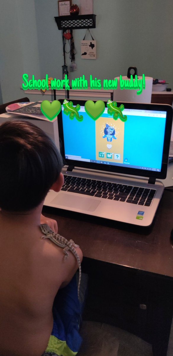 CrystalRod2007's tweet photo. @NISDEsparza Reading on Raz-Kids with his dragon!🐉 https://t.co/3AOMmD7Ftv