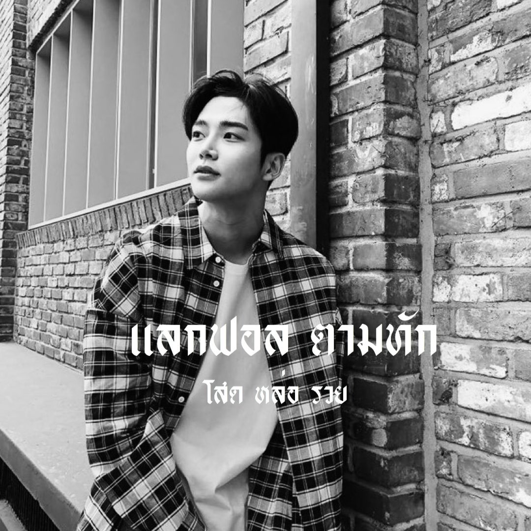 แฟ้ม tweet media