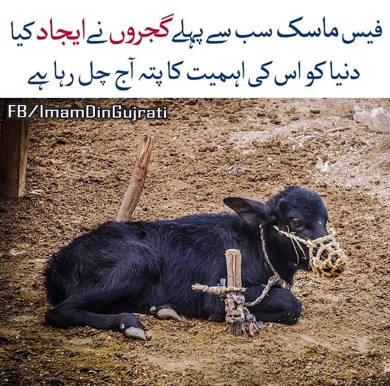 Shahidjaved786786@gmail.com (@shahidjaved7862) on Twitter photo 