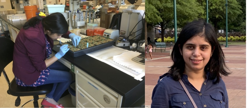 SongLab_UNCC's tweet image. Our #BeanTeam @SongLab_UNCC graduate student Neha Mittal successfully passed her doctoral defense. Congratulations Dr. Neha Mittal!