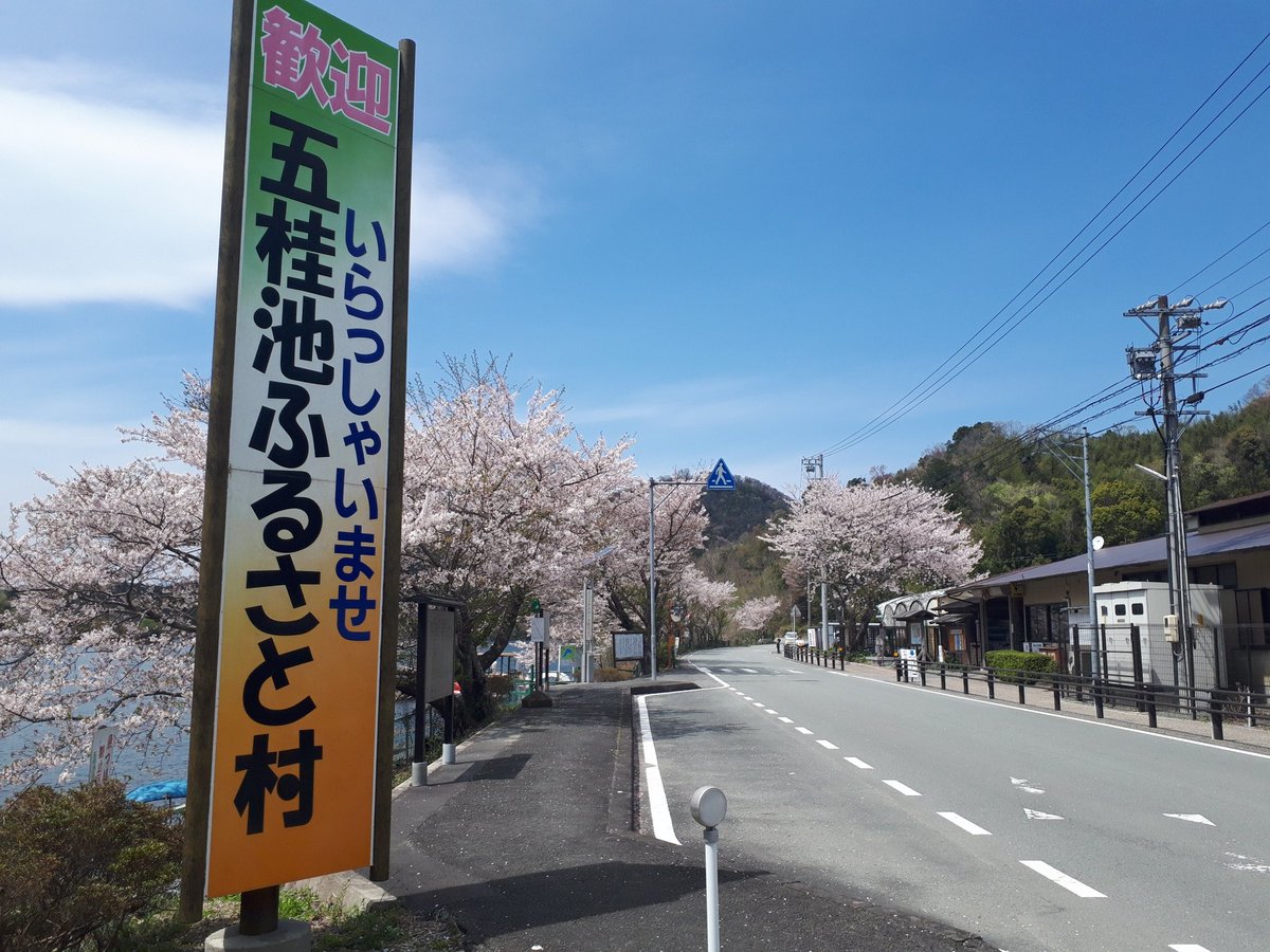 Hashtag 三重県バス釣り Na Twitteru