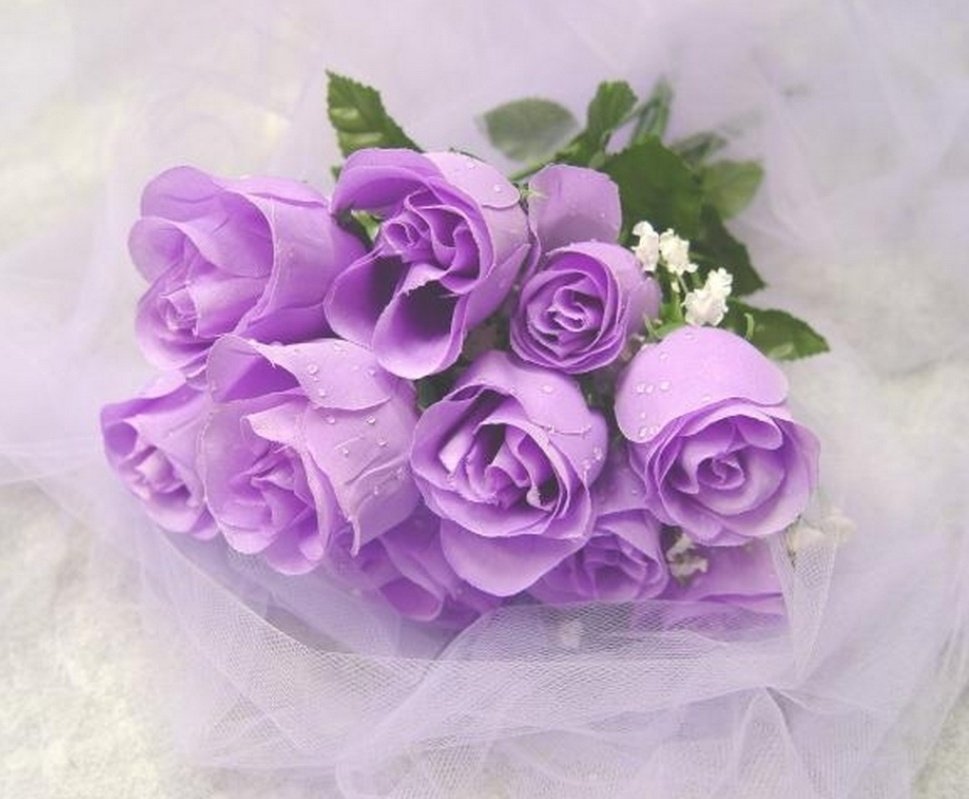 Virat Kohli as Purple Rose  #ViratKohli  #PurpleRose