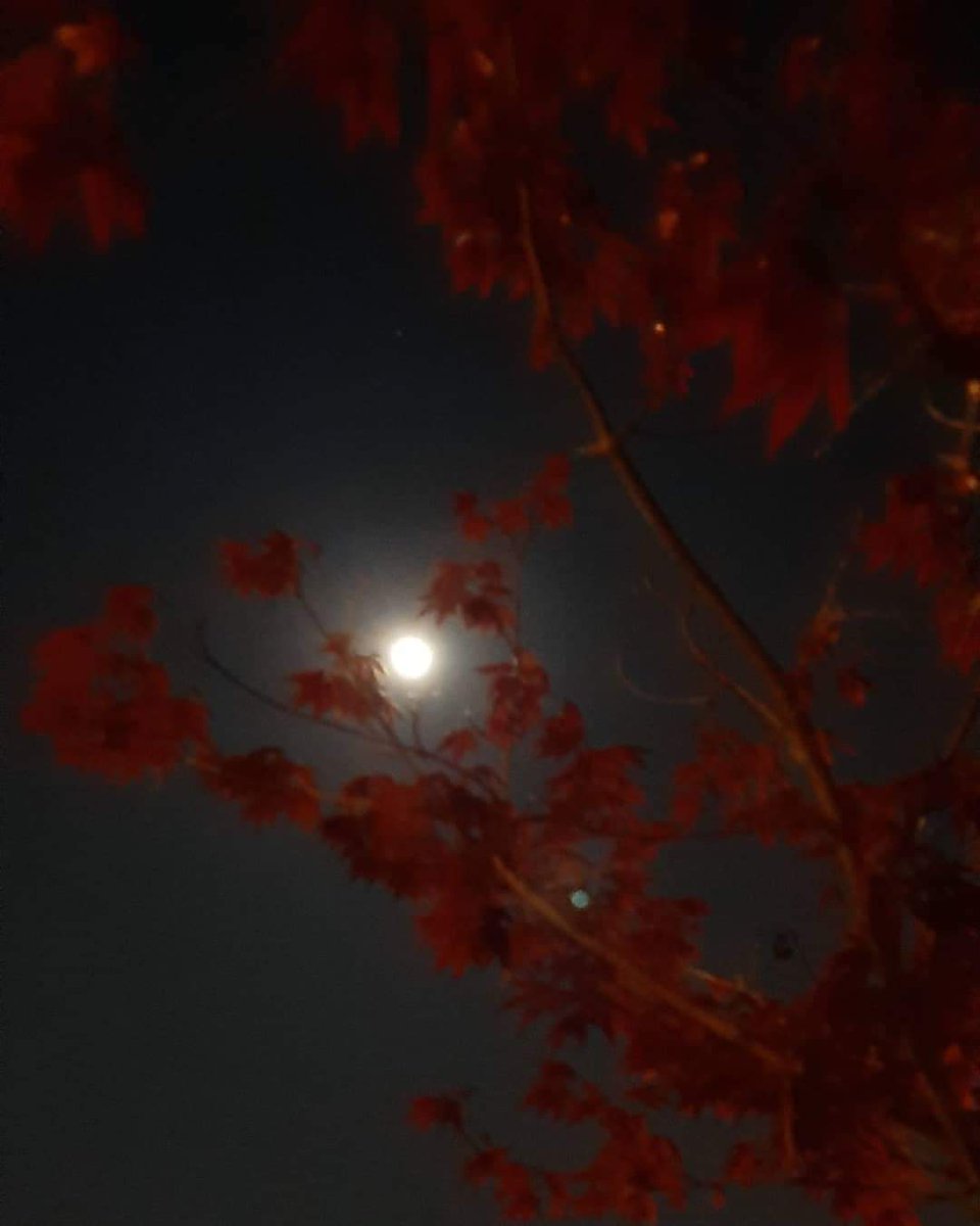 La luna di stanotte.,vista da casa...anche lei sembra dire #Andràtuttobene 🌈