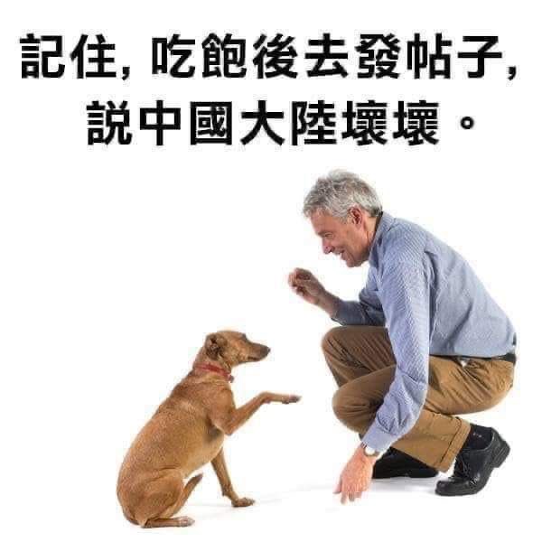 犯我中华者🇨🇳虽远必诛！ tweet media