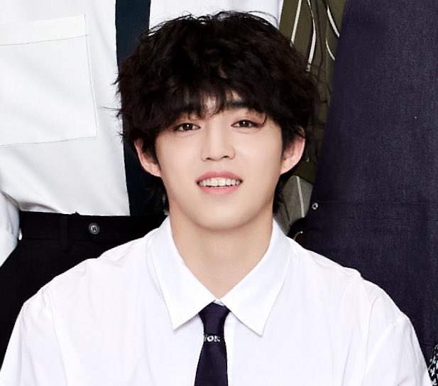 BUT THE BEST THING IS HIM COMING BACK TO US HEALTHIER THAN EVER. We love you Seungcheol!!!!! BEST LEADER BESTEST BOY!!!!