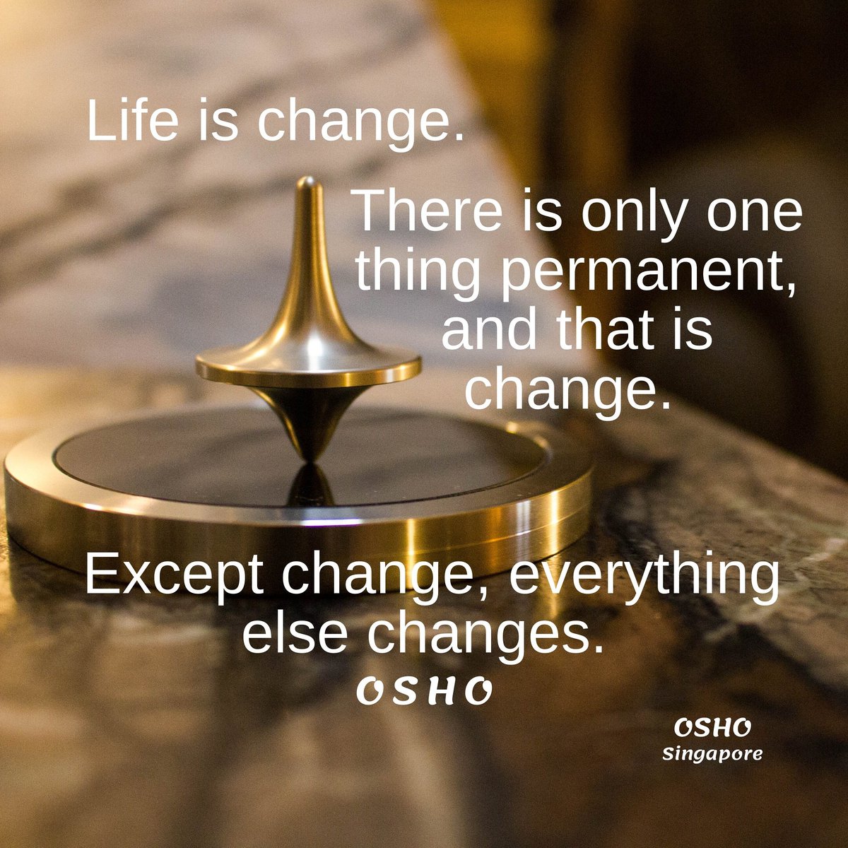 Saying Goodbye to Raise Your Hand Say Yes (Why, How, and What's Next!) |  Tiffany Han, image size:1200x1200