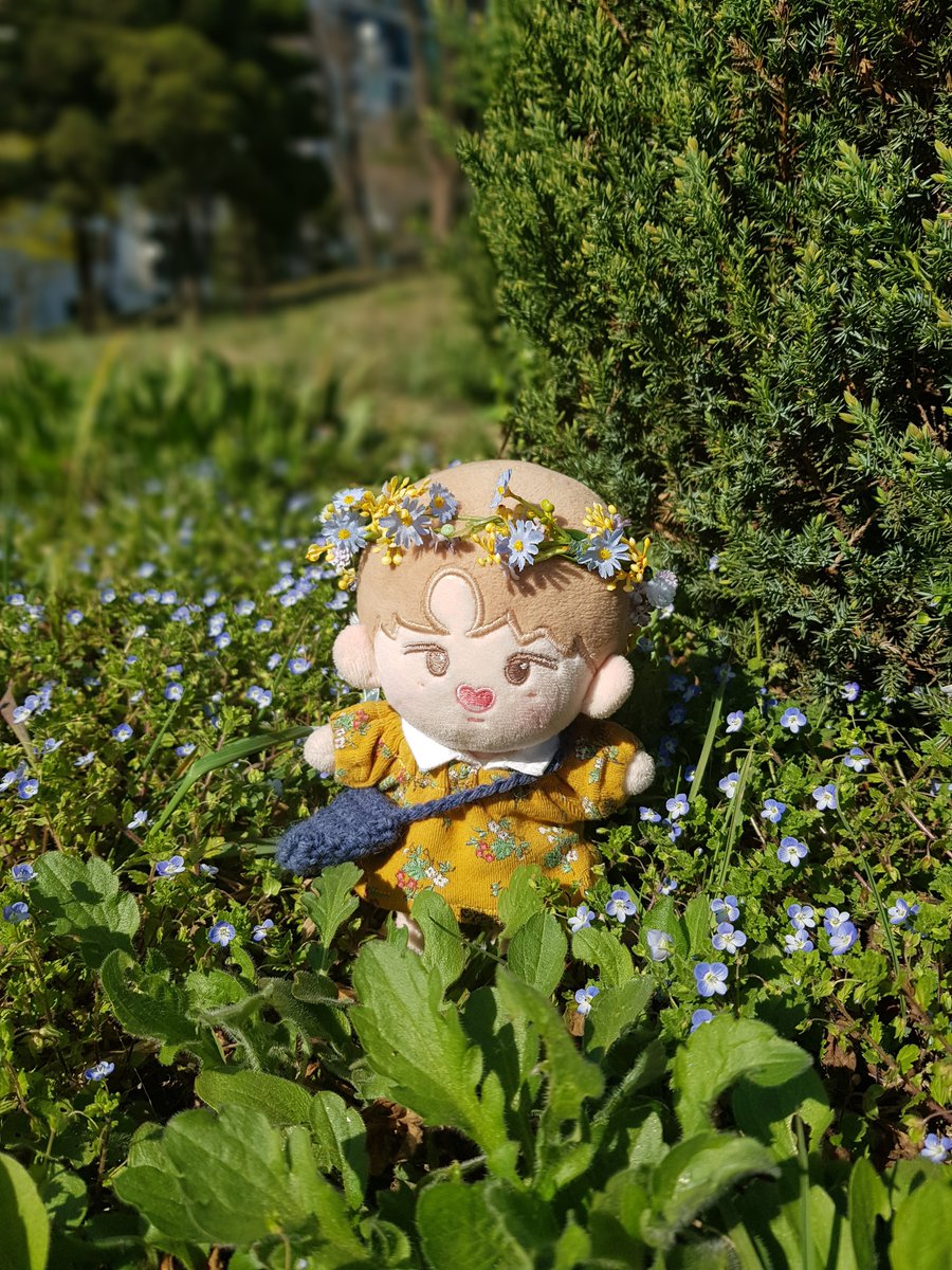 따스한 햇볕힐링☀️
.
.
🌿화관 : 랩 @lab_osw78