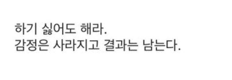안주🏘 tweet media