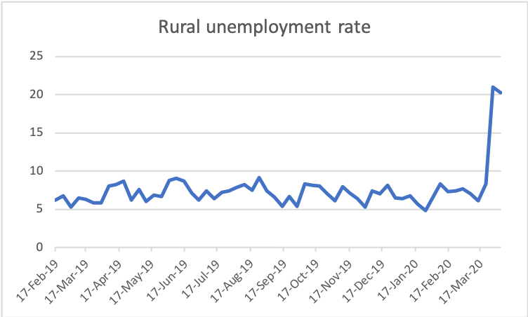 The rural rate of unemployment is slightly over 20%. This means nearly one in five people who are a part of the labour force in rural India are without a job.