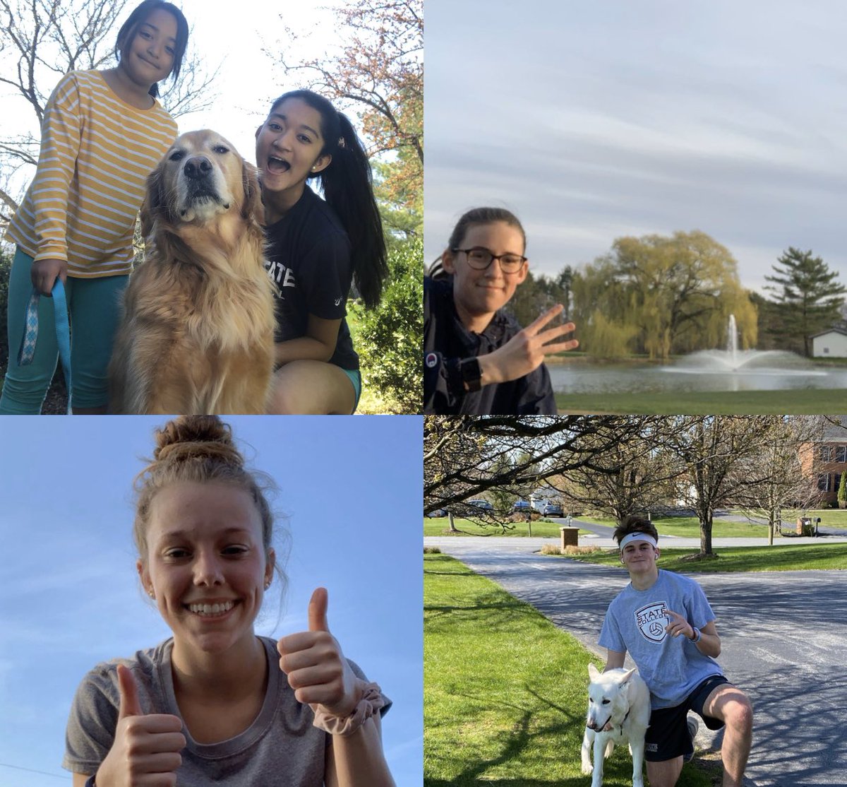 SC PULSE tweet media