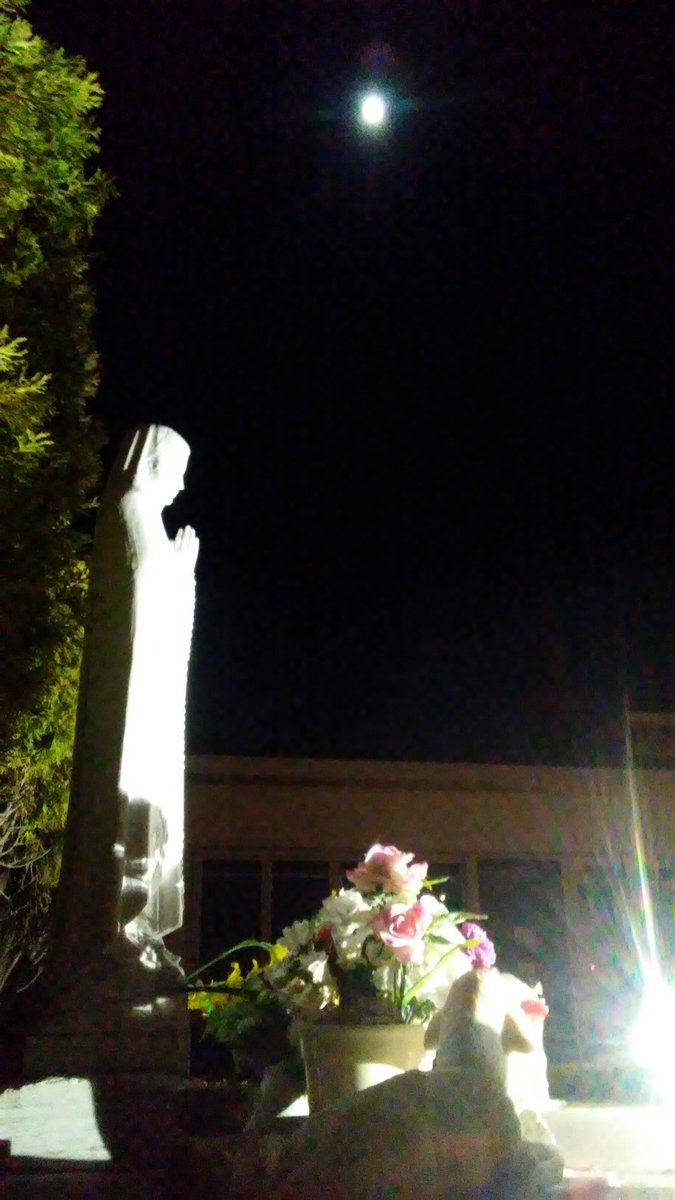 JohnZwicker1's tweet photo. Today is my #BaptismAnniversary
Came here to renew my #BaptismalPromises w/ #OurBlessedMother as Witness :)
https://t.co/HaYXyJmSuQ https://t.co/EGrVo624lu