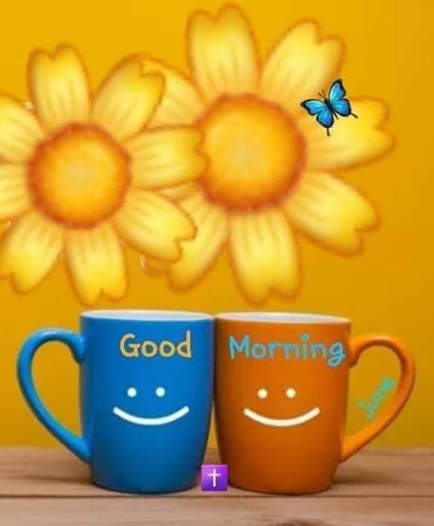 csilvi72's tweet photo. Happy Tuesday friends #Comvida20 https://t.co/PSIXKxVwqB