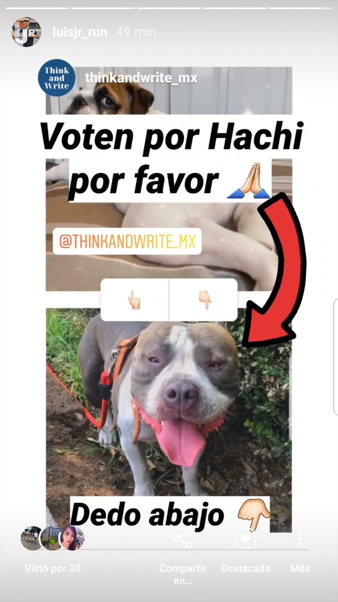 luis_Runner_ED's tweet photo. Voten por Hachi porfa 🙏🏻
Entren al Link vean las historias y den dedo 👇🏻 por el Pitbull 
https://t.co/Q91S7htEff https://t.co/BzykWfXCfs