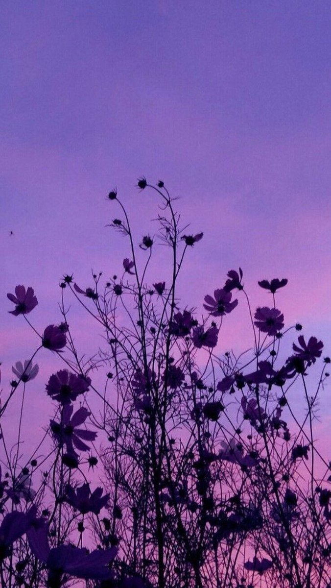 BTS colors aesthetics