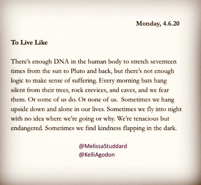KelliAgodon's tweet photo. โSometime we find kindness flapping in the dark.โ
Trust bats. Last minute poem-a-day with @MelissaStuddard #dailywave https://t.co/8FoDlSrpSL