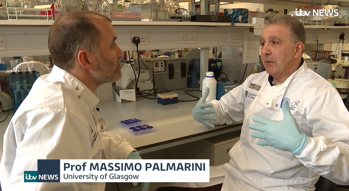 UofG's Professor Massimo Palmarini and  @emcat1 invited  @TomClarke_ITV from  @itvnews into the  @CVRinfo to show how they were approaching this critical research  follow the link to watch  https://www.itv.com/news/2020-03-23/one-british-labs-race-to-track-the-coronavirus/