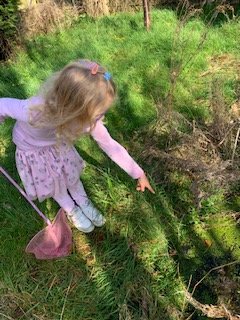 HeadCkis's tweet photo. We have had lots of fun pond dipping at CKIS. We found newts, but wondered where all of the frogspawn has gone! Has it hatched? https://t.co/pK5QE16vxu