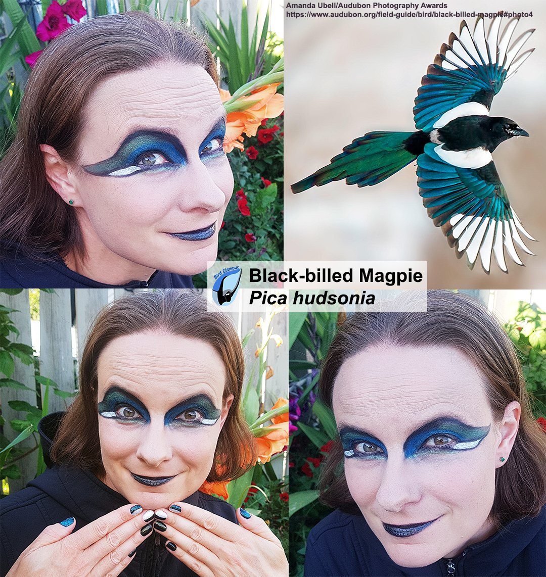 Science Sucks tweet media