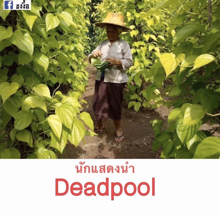 pakjanee's tweet photo. เด้ดพูลแม่มึง 5555555555555555555555555555555555555555555555555555555555555555555555555555555555 https://t.co/7uq1ceElUp