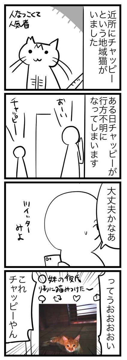 地域猫チャッピー、行方不明になるの巻 