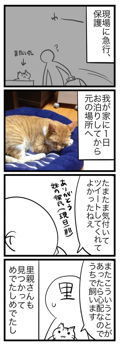 地域猫チャッピー、行方不明になるの巻 