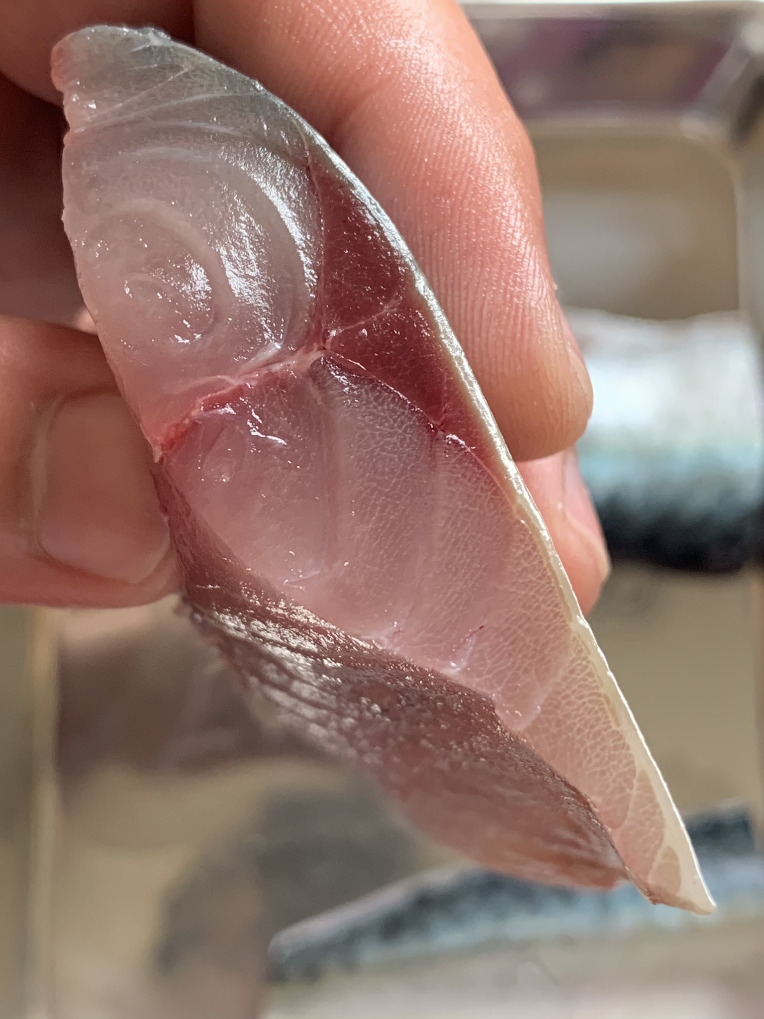 けん ゆせふ 1本300円と激安なサバが切ってみたら驚異の脂の乗り方で 刺身 か軽く締めて食べたら確実に美味しい んだけど 内蔵にアニサキスがついてるのを見つけたので味噌煮にする事に決めた ビビリよ T Co Adadzgmaet Twitter