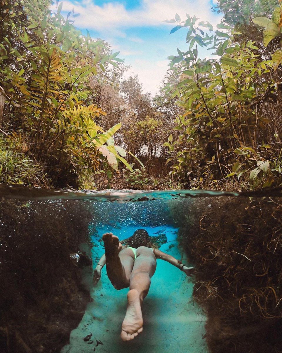 omnipa_africa's tweet photo. Live the life you love. #remotestartup #jalapao #tocantins #covid19 #ecoturismo #futureofwork #virtualassistant #visitbrazil #remoteworker #workingingtraveller #frequentflyer #cachoeiradaforminga #fervedouro #digitalnomad #jalapao100limites #omnipa #globetrotter #womenintech https://t.co/JCiYYHYPFM