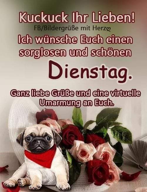 Der Realist F N H Guten Morgen Liebe Twitter Freunde Ich Wunsche Euch Einen Schonen Gesunden Dienstag Mit Ganz Viel Kaffee Am Morgen