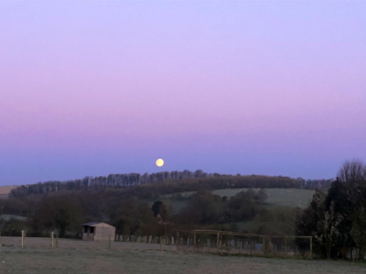 Wiltshire_lambs's tweet photo. Sun rise and moon set over #Lockeridge #Wiltshire on my morning rounds https://t.co/0vF3nDVX0B